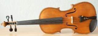 old violin 4/4 geige viola cello fiddle label JOSEPH GAGLIANO 2