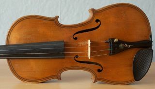 old violin 4/4 geige viola cello fiddle label JOSEPH GAGLIANO 3