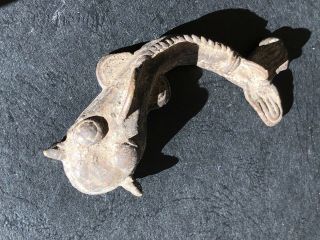 Rare Antique African Bronze Ashanti Gold Weight Exotic Cat Fish 4