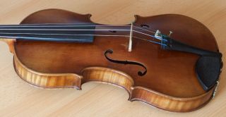 old violin 4/4 Geige viola cello fiddle label VINCENTIUS POSTIGLIONE 12