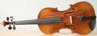 old violin 4/4 Geige viola cello fiddle label VINCENTIUS POSTIGLIONE 2