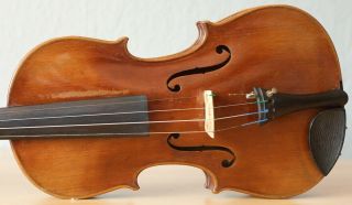 old violin 4/4 Geige viola cello fiddle label VINCENTIUS POSTIGLIONE 3