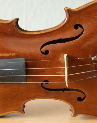 old violin 4/4 Geige viola cello fiddle label VINCENTIUS POSTIGLIONE 5
