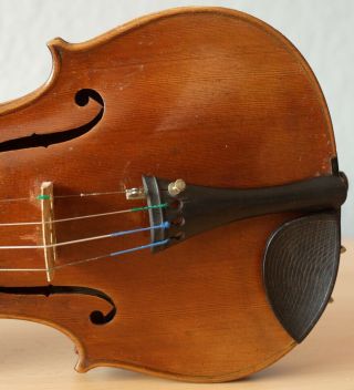 old violin 4/4 Geige viola cello fiddle label VINCENTIUS POSTIGLIONE 6