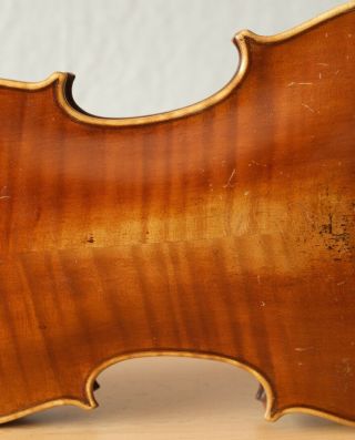 old violin 4/4 Geige viola cello fiddle label VINCENTIUS POSTIGLIONE 9