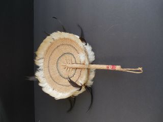 Vintage Micronesian Fan 11 " X 8 " Diameter