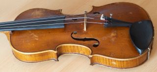 old violin 4/4 geige viola cello fiddle label FEDERICO GABRIELLI 12