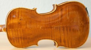 Old Violin 4/4 Geige Viola Cello Fiddle Label Federico Gabrielli