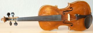 old violin 4/4 geige viola cello fiddle label FEDERICO GABRIELLI 2