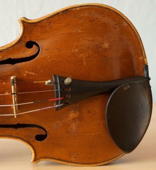 old violin 4/4 geige viola cello fiddle label FEDERICO GABRIELLI 6