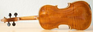 old violin 4/4 geige viola cello fiddle label FEDERICO GABRIELLI 7