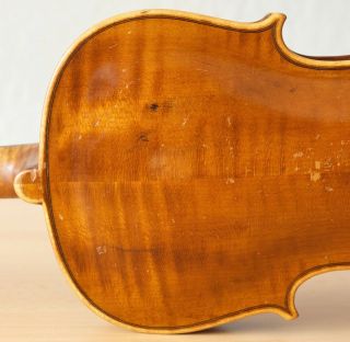 old violin 4/4 geige viola cello fiddle label FEDERICO GABRIELLI 8