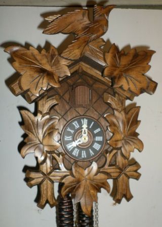 German Black Forest Unusually David Hones Traditional Carved Cuckoo Clock
