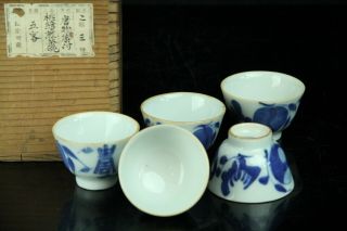 Jun048 Chinese Antique Blue&white Porcelain 5 Sencha Tea Cup W/ Box
