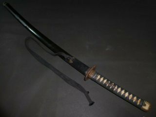 KATANA (sword) w/HAN TACHI Koshirae : EDO : 38.  2 × 27.  2 