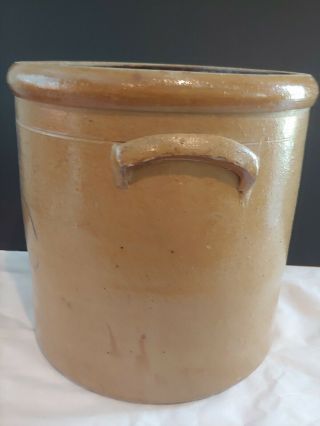 ANTIQUE 1890 ' S RED WING POTTERY SALT GLAZE BEE STING P 3 GALLON CROCK 6