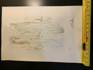 pencil signed wood block rare Salvador Dali etching épreuve d ' artiste colored 6