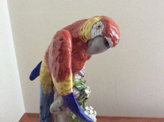 volkstedt dresden sitzendorf couple macaw parrot porcelain colourful seldom item 3