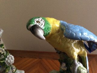 volkstedt dresden sitzendorf couple macaw parrot porcelain colourful seldom item 4