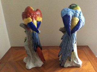 volkstedt dresden sitzendorf couple macaw parrot porcelain colourful seldom item 5