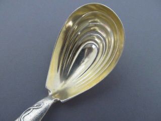 TIFFANY & CO VINE (GRAPE) STERLING SILVER TEA CADDY SPOON 5