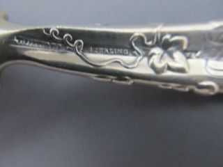 TIFFANY & CO VINE (GRAPE) STERLING SILVER TEA CADDY SPOON 6