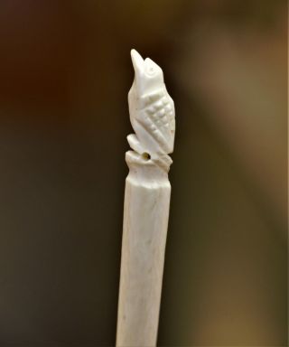 1800s Native American Carved Sioux Indian Tooth Pick Bone Utensil Museum Quality