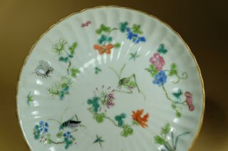 Pair Chinese Famille Rose Porcelain Dishes. 2