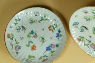 Pair Chinese Famille Rose Porcelain Dishes. 4