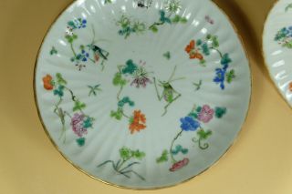 Pair Chinese Famille Rose Porcelain Dishes. 5