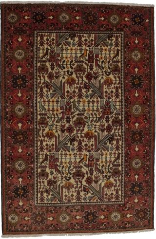 Birds Design Hand Knotted Rare 5x7 Persian Area Rug Oriental Home Décor Carpet