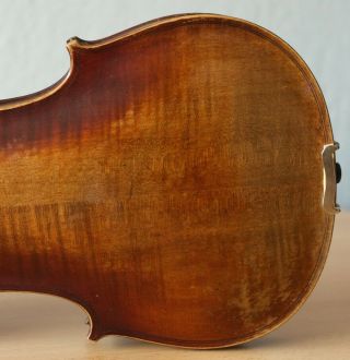 old violin 4/4 geige viola cello fiddle label ETTORE SIEGA & FIGLI 10