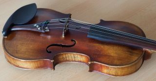 old violin 4/4 geige viola cello fiddle label ETTORE SIEGA & FIGLI 11