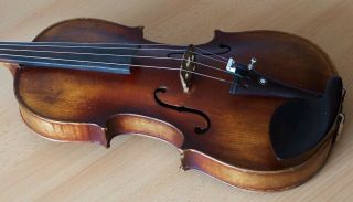 old violin 4/4 geige viola cello fiddle label ETTORE SIEGA & FIGLI 12