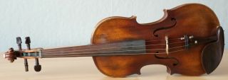 old violin 4/4 geige viola cello fiddle label ETTORE SIEGA & FIGLI 2