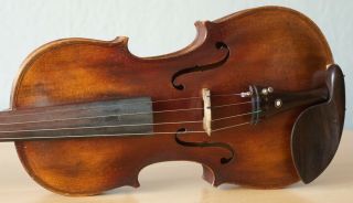 old violin 4/4 geige viola cello fiddle label ETTORE SIEGA & FIGLI 3