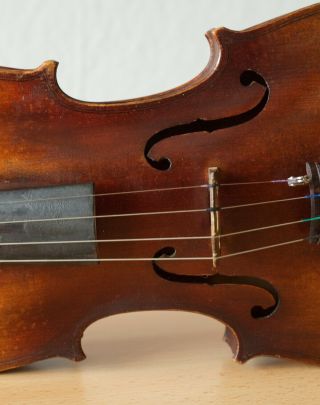 old violin 4/4 geige viola cello fiddle label ETTORE SIEGA & FIGLI 5