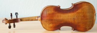 old violin 4/4 geige viola cello fiddle label ETTORE SIEGA & FIGLI 7