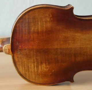old violin 4/4 geige viola cello fiddle label ETTORE SIEGA & FIGLI 8