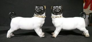 Antique Victorian Porcelain Pug Dog Figurines