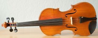 old violin 4/4 geige viola cello fiddle label ANTONIO GUADAGNINI 2