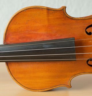 old violin 4/4 geige viola cello fiddle label ANTONIO GUADAGNINI 4