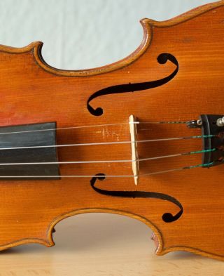 old violin 4/4 geige viola cello fiddle label ANTONIO GUADAGNINI 5