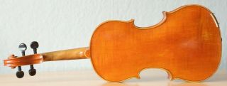 old violin 4/4 geige viola cello fiddle label ANTONIO GUADAGNINI 7