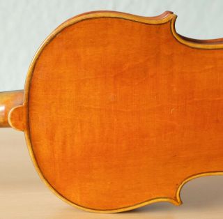 old violin 4/4 geige viola cello fiddle label ANTONIO GUADAGNINI 8