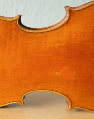 old violin 4/4 geige viola cello fiddle label ANTONIO GUADAGNINI 9