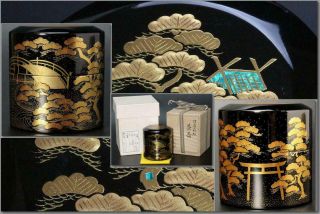 Sgo14 Japanese Wooden Gold Sumiyoshi Makie Black Lacquer Natsume Tea Caddy