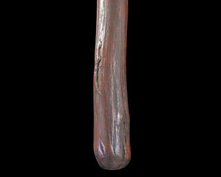 OLD ABORIGINAL ALICE SPRINGS HAFTED AXE 40cm 5