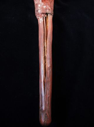 OLD ABORIGINAL ALICE SPRINGS HAFTED AXE 40cm 9