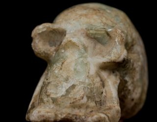 Pre Columbian Mayan Skull Aztec_Olmec_Maya 11